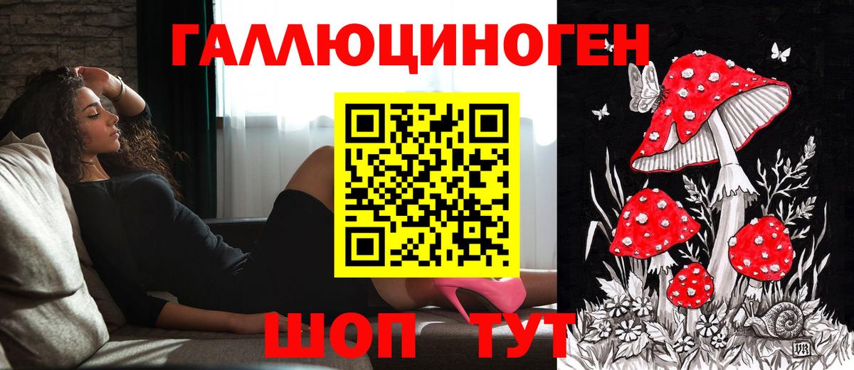 Галлюциногенные грибы GOLDEN TEACHER  Вход с VPN  Псилоцибиновые грибы ЛСД  Юрга 